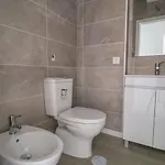 Vagueira